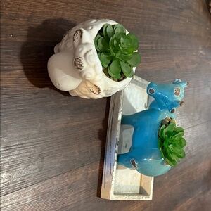 White and Blue  Planters with Succulents